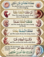مراحل الخلق.PNG مراحل الخلق.PNG