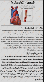 الدهون والكلوليسترول.PNG