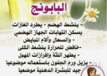 البابونج.PNG