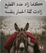 حكم9.PNG حكم9.PNG