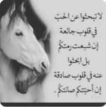 حكم1.PNG حكم1.PNG