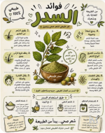 السدر.PNG