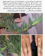 للبهاق.PNG للبهاق.PNG