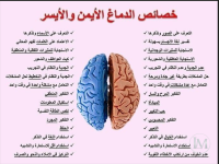 خصائص الدماغ الايسر والايمن.PNG