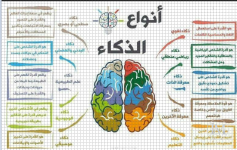انواع الذكاء.PNG انواع الذكاء.PNG