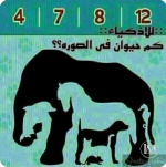 كم حيوان في الصوره.PNG