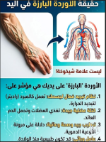 حقيقة الاورده في اليد.PNG