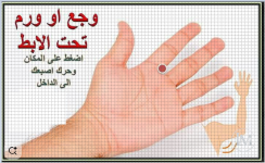 وجع تحت الابط.PNG