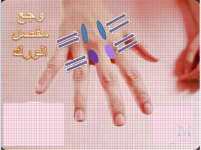 مفصل الورك.PNG