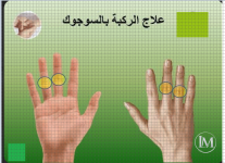 الركبه.PNG