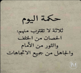 حكم4.PNG