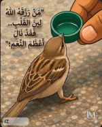 حكم4.PNG