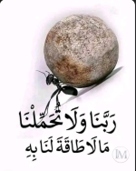 حكم د.PNG حكم د.PNG