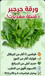 الجرجير.PNG