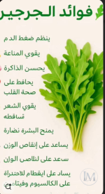 الجرجير2.PNG