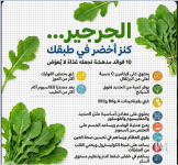 الجرجير4.PNG