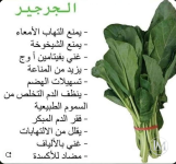 الجرجير5.PNG