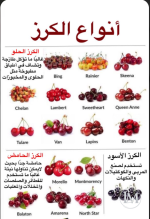 انواع الكرز6.PNG