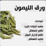 ورق الليمون.PNG ورق الليمون.PNG