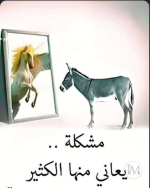 حكم 13.PNG