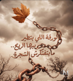 حكم6.PNG