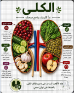 الكلى.PNG