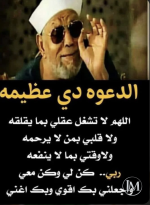 الشعراوي.PNG