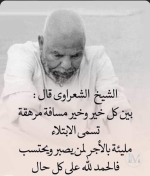 الشعراوي6.PNG