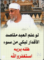 الشعراوي11.PNG