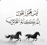 حكم7.PNG حكم7.PNG