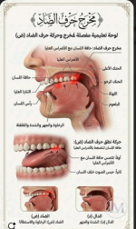 مخرج حرق الضاد.PNG مخرج حرق الضاد.PNG