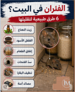 الفئران في البيت.PNG