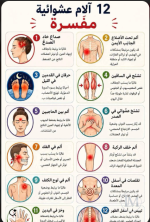 12 الام عشوائيه مفسره.PNG 12 الام عشوائيه مفسره.PNG