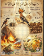 5 حيوانات نهى النبي صل الله عليه وسلم عن قتلها.PNG