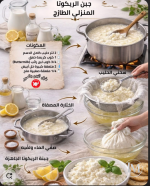 جبنة الريكونا.PNG