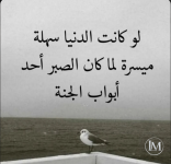 حكم د.PNG حكم د.PNG