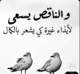 حكم2.PNG
