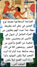 معرفة الجنين بطريقة الفراعنه.PNG