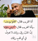 الشعراوي.PNG