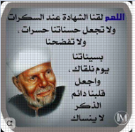 الشعراوي4.PNG