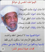 الشعراوي5.PNG