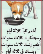 حكم4.PNG