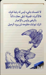 حكم4.PNG