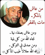 الشعراوي5.PNG