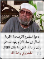 الشعراوي.PNG