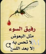 حكم.PNG