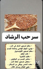حب الرشاد.PNG