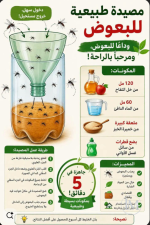 مصيدة طبيعية للبعوض