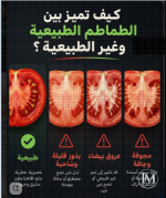 كيف تميز بين الطماطم الطبيعية وغير الطبيعية