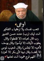 الشعراوي.PNG